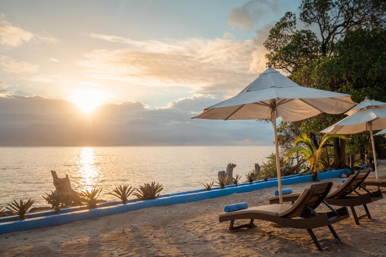 Moja Tuu The Luxury Villas & Nature Retreat Kiwengwa  Eksteriør billede